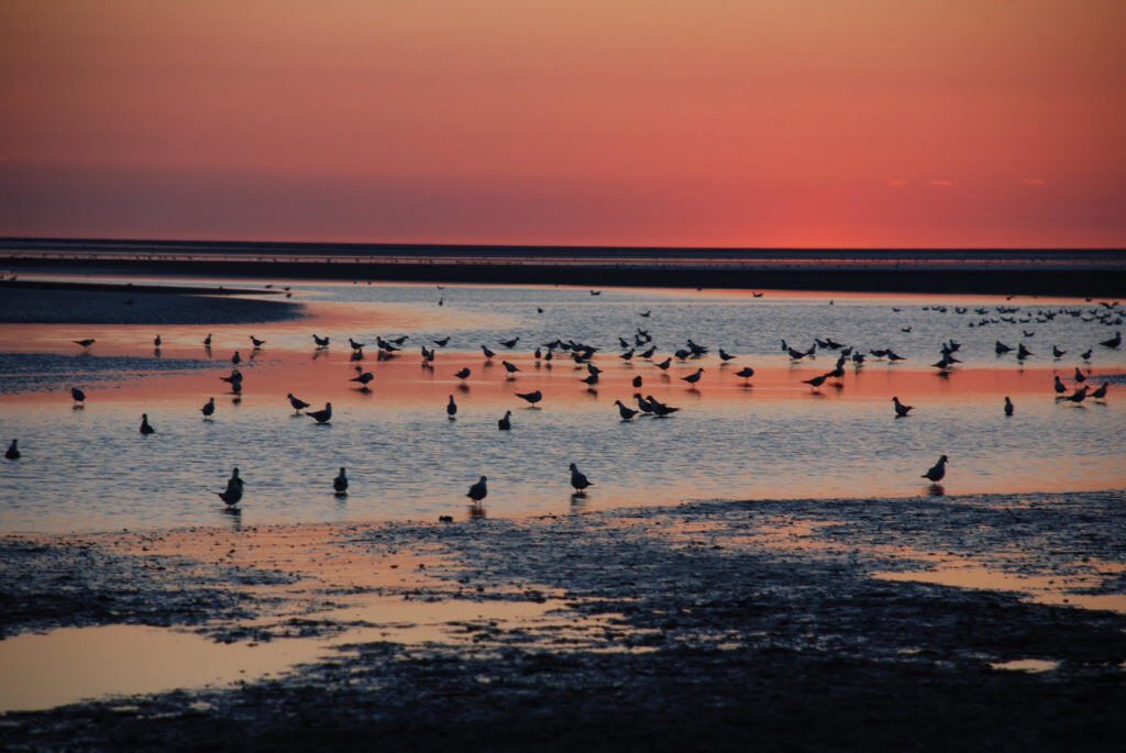 Coucher de soleil sur la baie